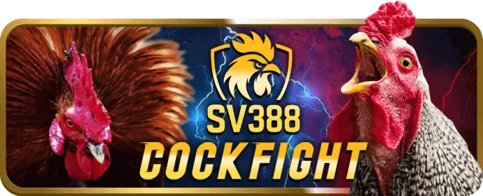 Khuyến mãi chào mừng EV88BET WIN